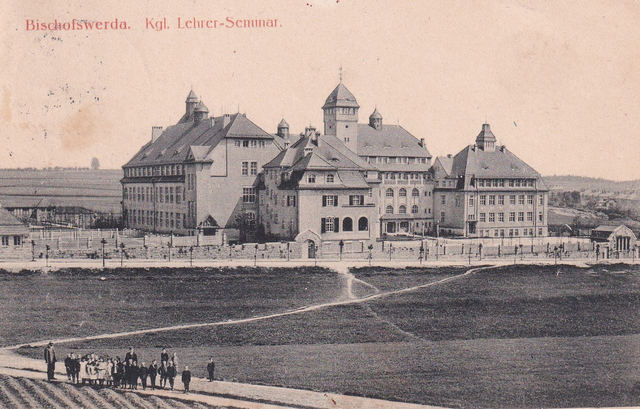 Pickauer Linde hinter dem Lehrerseminar 1915